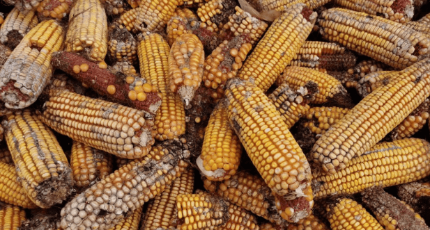 QQ截图20220505153817_副本.png QQ截图20220505153817_副本.png