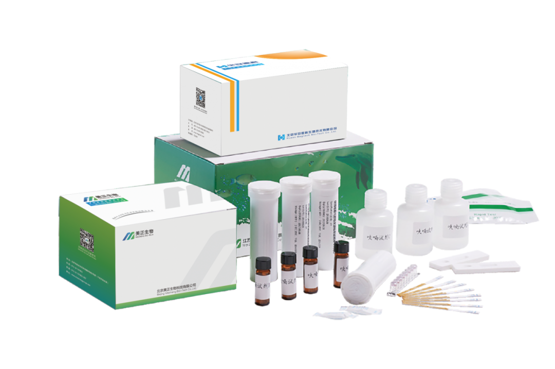 胶体金快速检测试纸条.png 胶体金快速检测试纸条.png