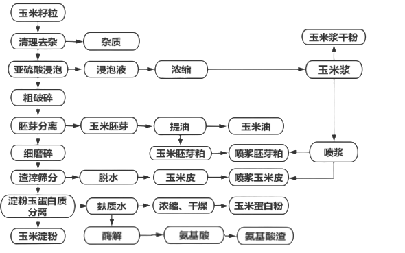 氨基酸方向玉米深加工过程.png