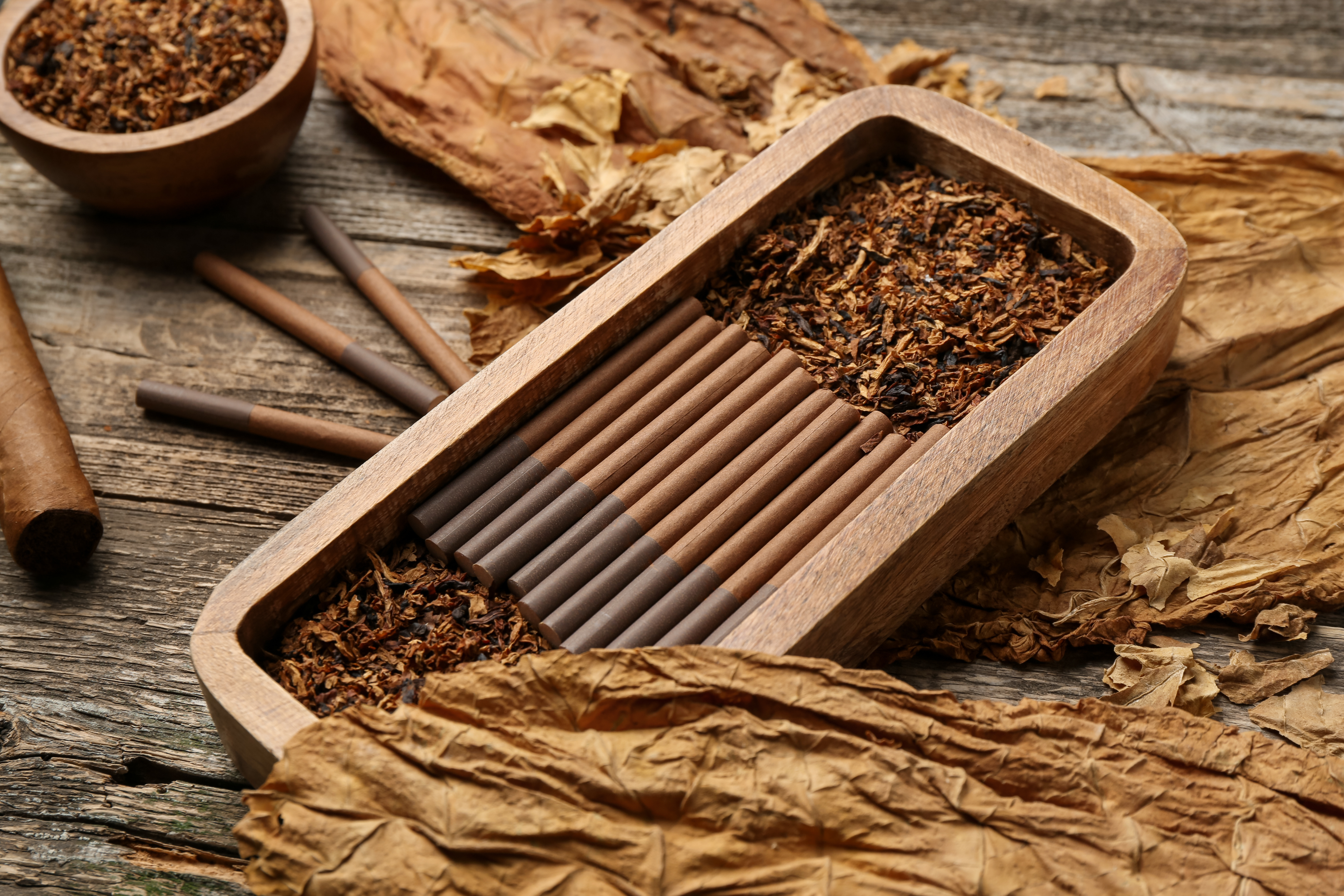 图虫创意-2237656512174096405.jpeg 图虫创意-2237656512174096405.jpeg