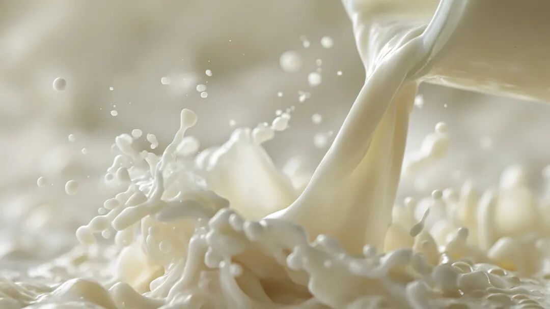 微信图片_20251225164712.jpg 微信图片_20251225164712.jpg