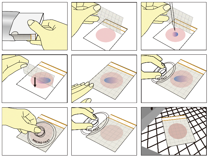 快速大肠菌群测试片 快速大肠菌群测试片